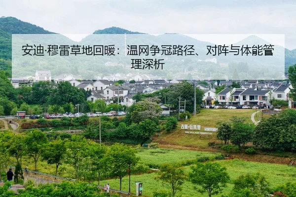 an-di-mu-lei-cao-di-hui-nuan-wen-wang-zheng-guan-lu-jing-dui-zhen-yu-ti-neng-guan-li-shen-xi-1-131.jpg