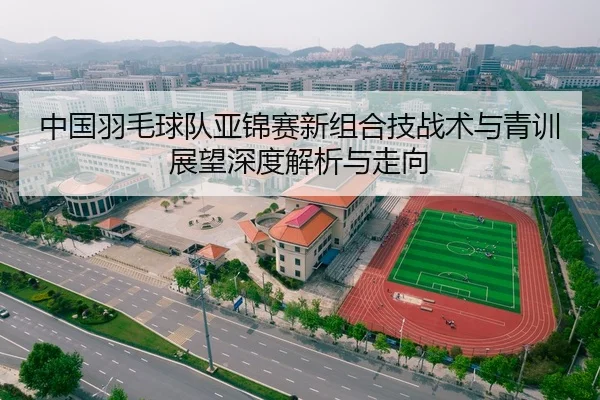 中国羽毛球队亚锦赛新组合技战术与青训展望深度解析与走向